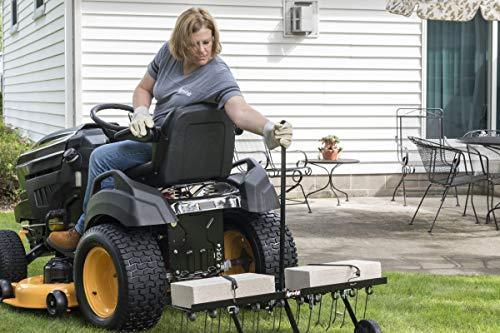 Agri-Fab 45295 48-Inch Tine Tow Dethatcher,Black,Medium