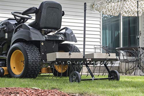 Agri-Fab 45295 48-Inch Tine Tow Dethatcher,Black,Medium